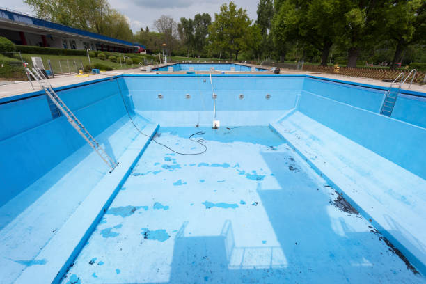Best Water damage cleanup near me  in Dayton, MN