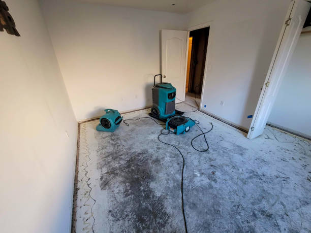 Best 24-hour water damage restoration  in Dayton, MN