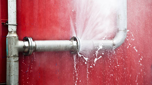Best Commercial water damage restoration  in Dayton, MN